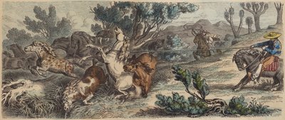 Capture de chevaux sauvages au Nouveau-Mexique (gravure en couleur) - German School