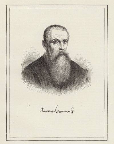 Lucas Cranach - German School