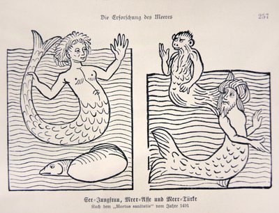 Sirène et triton du 