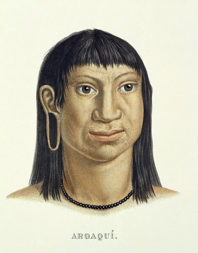 Homme natif de la tribu Aroaqui, de l