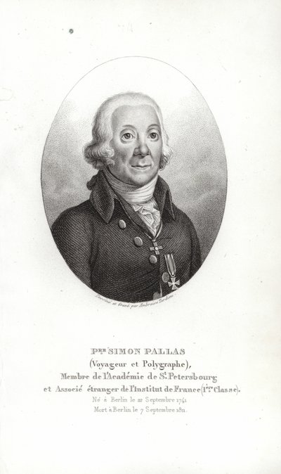 Peter Simon Pallas - German School