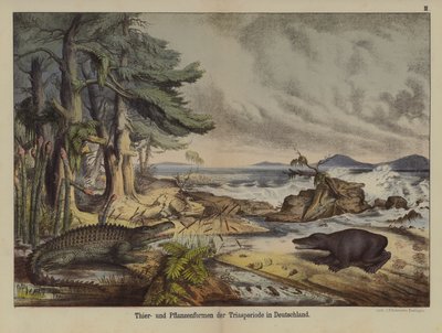 Plantes et animaux de la période triasique en Allemagne - German School