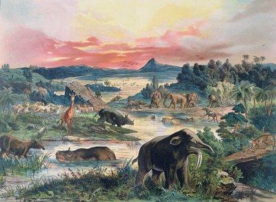 Préhistoire - Tertiaire - reconstitution de l