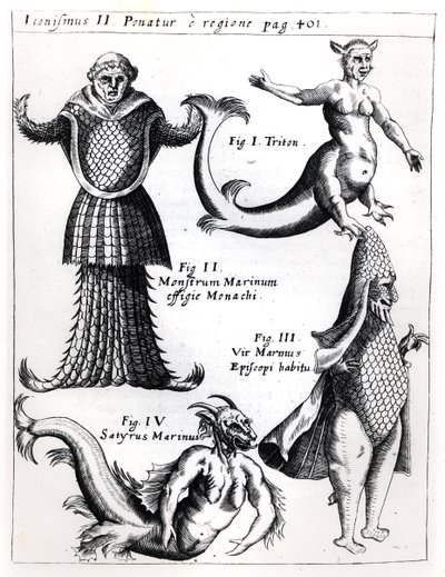 Monstres marins, illustration de Physica Curiosa par Gaspar Schott S.J. (1608-66), publiée à Wurtzbourg en 1662 - German School