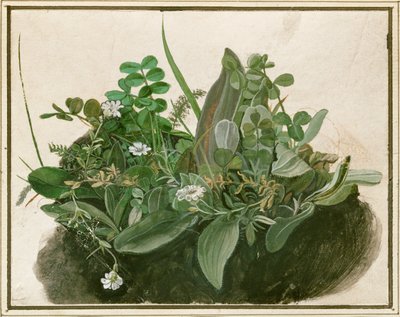 Petite touffe de gazon (aquarelle, tempera et pinceau sur parchemin monté sur carton) - German School