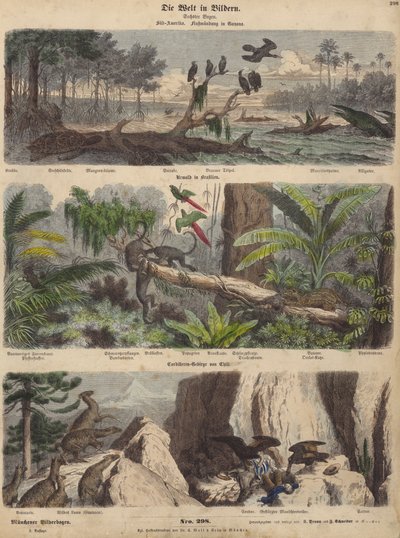 Amérique du Sud : estuaire en Guyane ; jungle au Brésil ; Andes chiliennes - German School