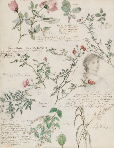 Études de plantes et de figures réalisées à Rome et à Pankow, Berlin - German School