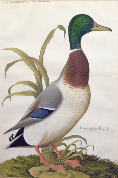 Étude d