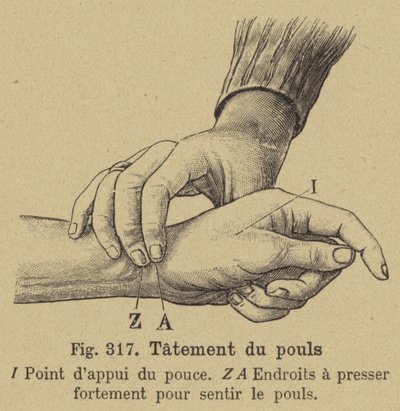 Prendre le pouls au poignet - German School
