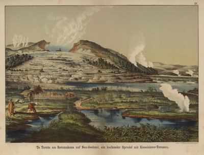 Te Tarata (Terrasse Blanche), dépôts de silice géothermique sur le rivage du lac Rotomahana, Nouvelle-Zélande - German School