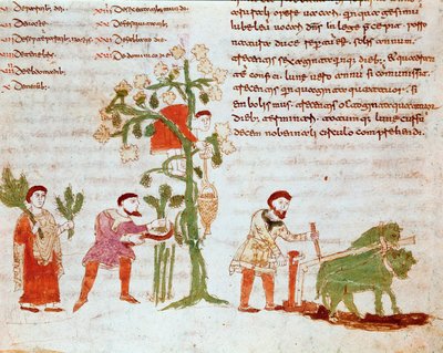 Les quatre saisons : scène de labour et de cueillette de raisins (vendanges). Miniature du manuscrit « De Universo » (ou De rerum naturis) par Raban Maur - German School