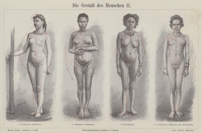 La figure humaine (gravure) - German School