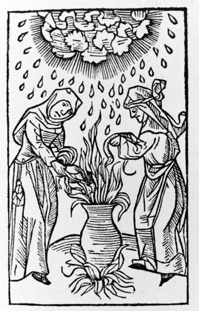 Deux sorcières préparant une potion, invoquant une tempête de grêle - grav. de « de lanijs et phitonicis mulieribus », Cologne - German School