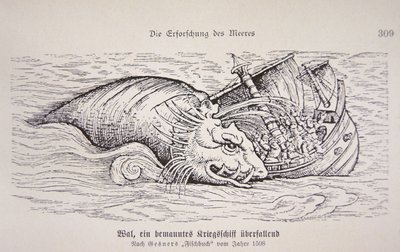 Baleine attaquant un navire - German School
