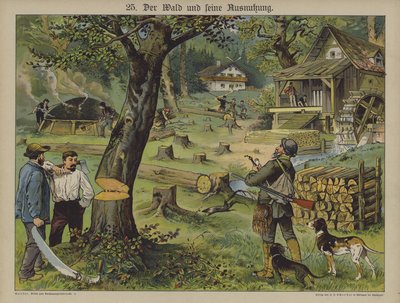 Travailleurs du bois (lithographie en couleur) - German School