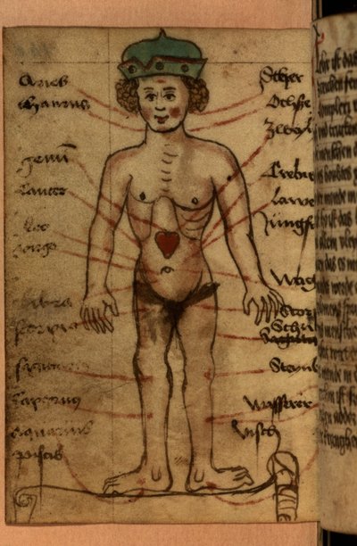 Diagramme du zodiaque montrant la position du cœur, d