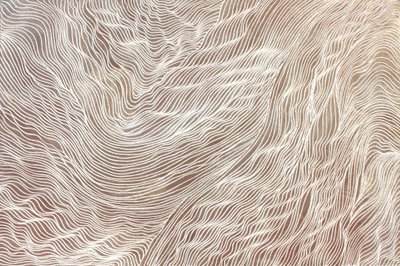  - Gerrit Greve