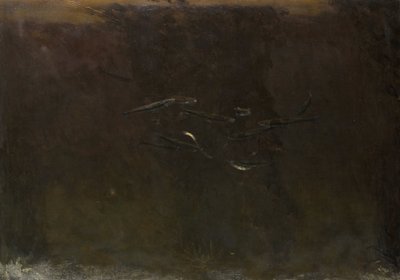 Poissons dans un aquarium - Gerrit Willem Dijsselhof