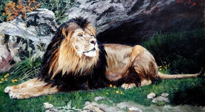 Un lion de Barbarie ou de l
