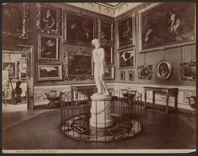Florence, Pitti, Salle Flora - Giacomo Brogi