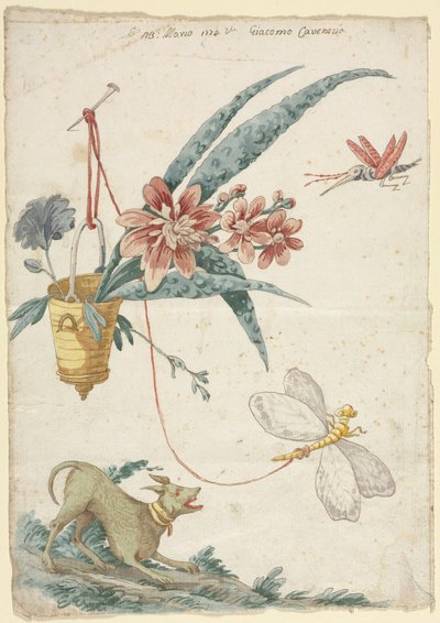Motif floral avec chien et insectes - Giacomo Cavenezia