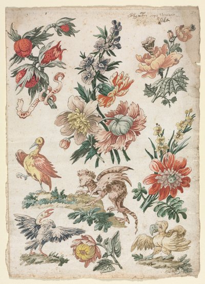 Motifs floraux avec oiseaux et griffon, 1784 - Giacomo Cavenezia