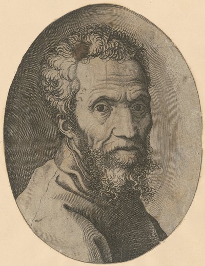 Portrait de Michel-Ange - Giorgio Ghisi