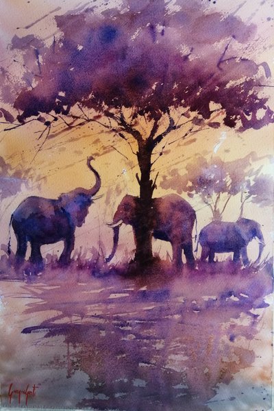 Éléphants d