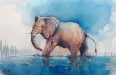 Un éléphant majestueux pataugeant - Giorgio Gosti