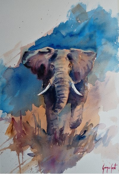 Aquarelle « Éléphant majestueux » - Giorgio Gosti