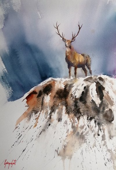 Un cerf majestueux dans les montagnes - Giorgio Gosti