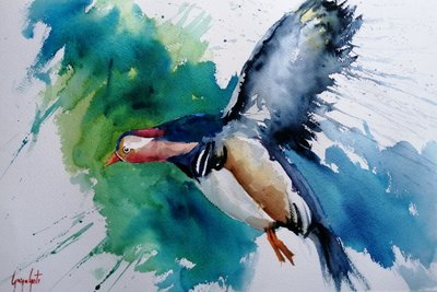 Canard mandarin en vol - Giorgio Gosti