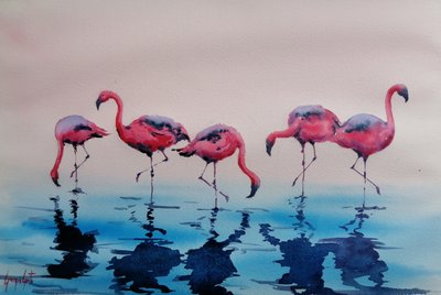 Des flamants roses pataugeant - Giorgio Gosti