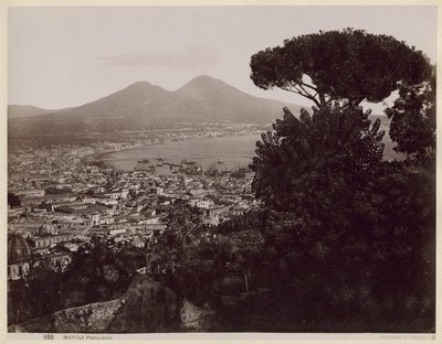  - Giorgio Sommer