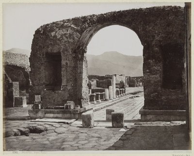  - Giorgio Sommer