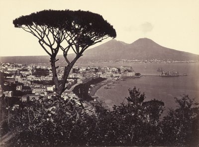  - Giorgio Sommer