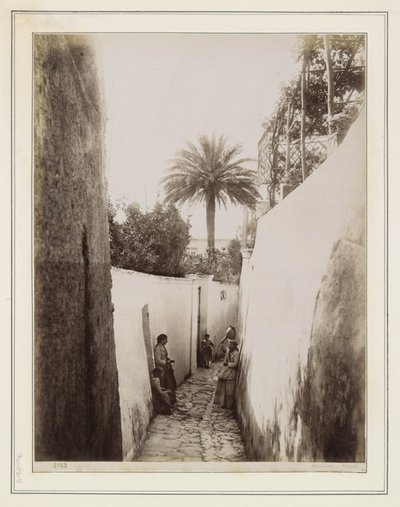  - Giorgio Sommer