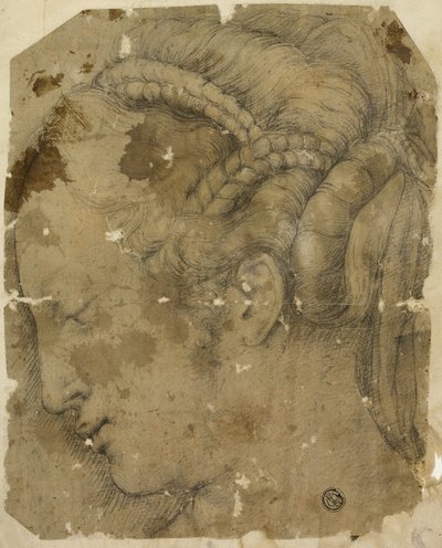 Tête de femme de profil à gauche - Giorgio Vasari