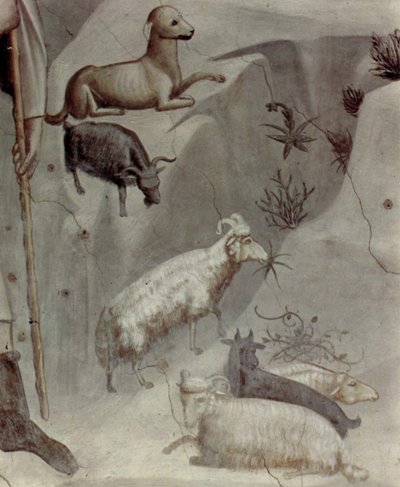Scènes de la vie de Joachim : 5. Le rêve de Joachim

 (détail) - Giotto
