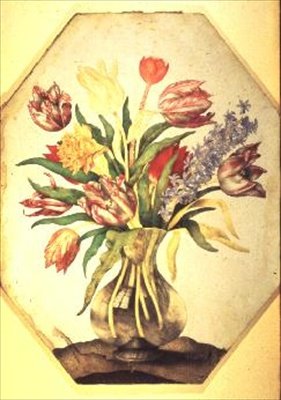 Vase en verre de tulipes avec une jacinthe - Giovanna Garzoni