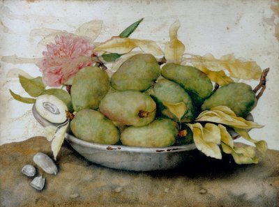 Assiette de nèfles, amandes et une rose - Giovanna Garzoni