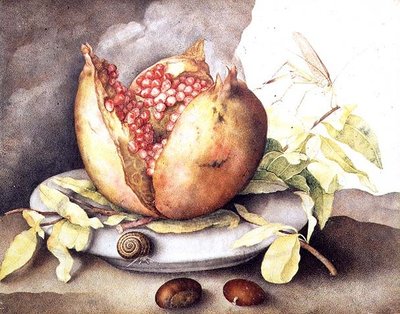 Grenade avec châtaignes - Giovanna Garzoni