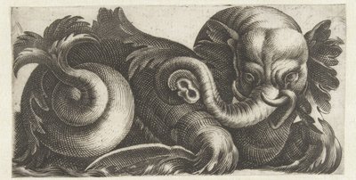 Éléphant de mer avec des oreilles de feuilles - Giovanni Andrea Maglioli