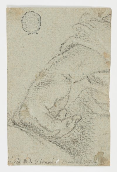 Dessin, étude : Une main gauche en position penchée, vers 1650 - Giovanni Andrea Sirani