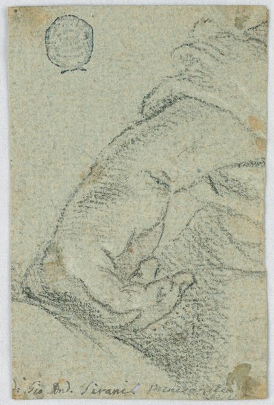Dessin, étude : Une main gauche en position penchée, vers 1650 - Giovanni Andrea Sirani
