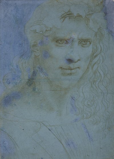 Buste de jeune couronné de ronces et de sarments, c. 1495 - Giovanni Antonio Boltraffio