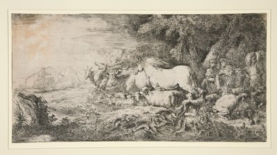 Les animaux entrant dans l