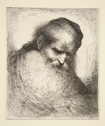 Vieil homme avec une barbe de face (de la série de grandes têtes orientales) - Giovanni Benedetto Castiglione