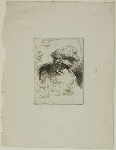 Vieil homme avec un turban - Giovanni Benedetto Castiglione