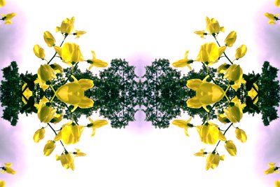 Unnatural 151.2 - Giovanni Cafagna